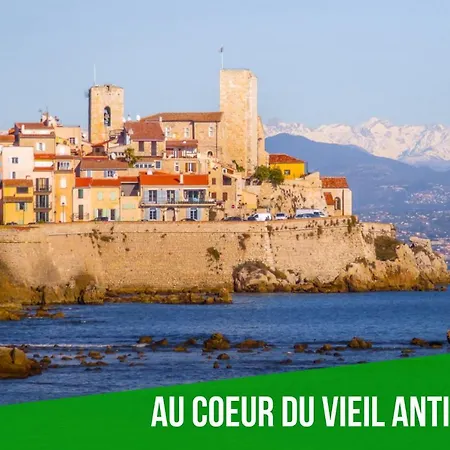Le Cosy Safranier Vieil Appartamento *